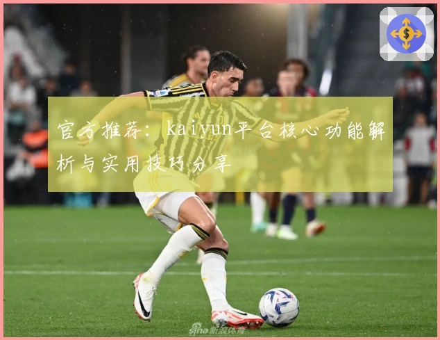 官方推荐：kaiyun平台核心功能解析与实用技巧分享
