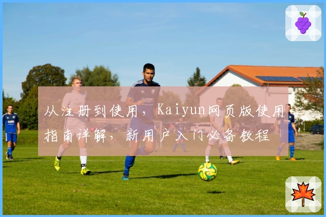 从注册到使用，Kaiyun网页版使用指南详解，新用户入门必备教程