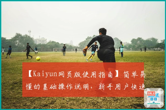 【Kaiyun网页版使用指南】简单易懂的基础操作说明，新手用户快速入门必看！